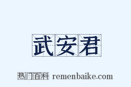 武安君是什么意思的图片